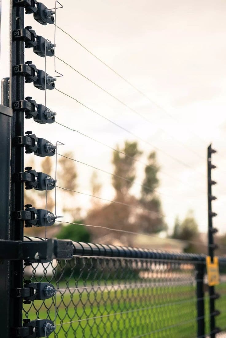 Electronic fence: wires on insulated posts around a protected area