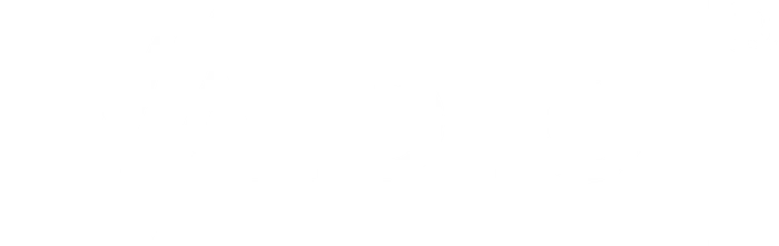 Vaidio